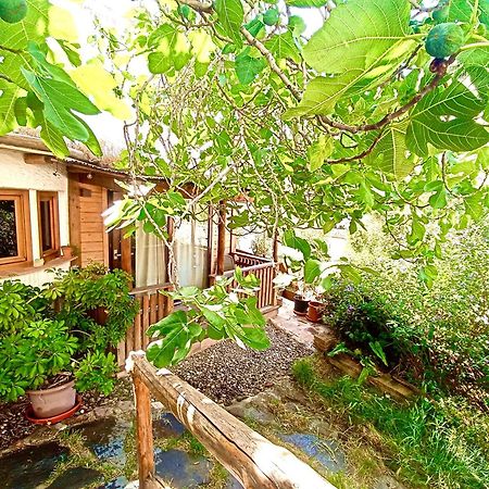 El Encanto โมนาชิล ภายนอก รูปภาพ